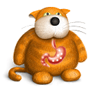 Leaky Gut Cat icon